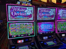 Meja Baccarat live-dealer di oke 168 dengan dealer profesional dan tampilan kartu real-time